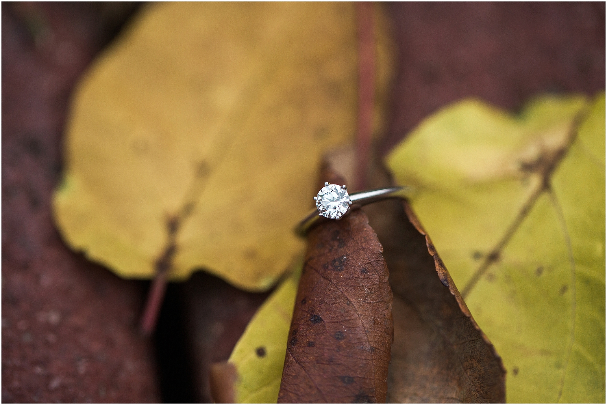 clevelandengagementphotographer29