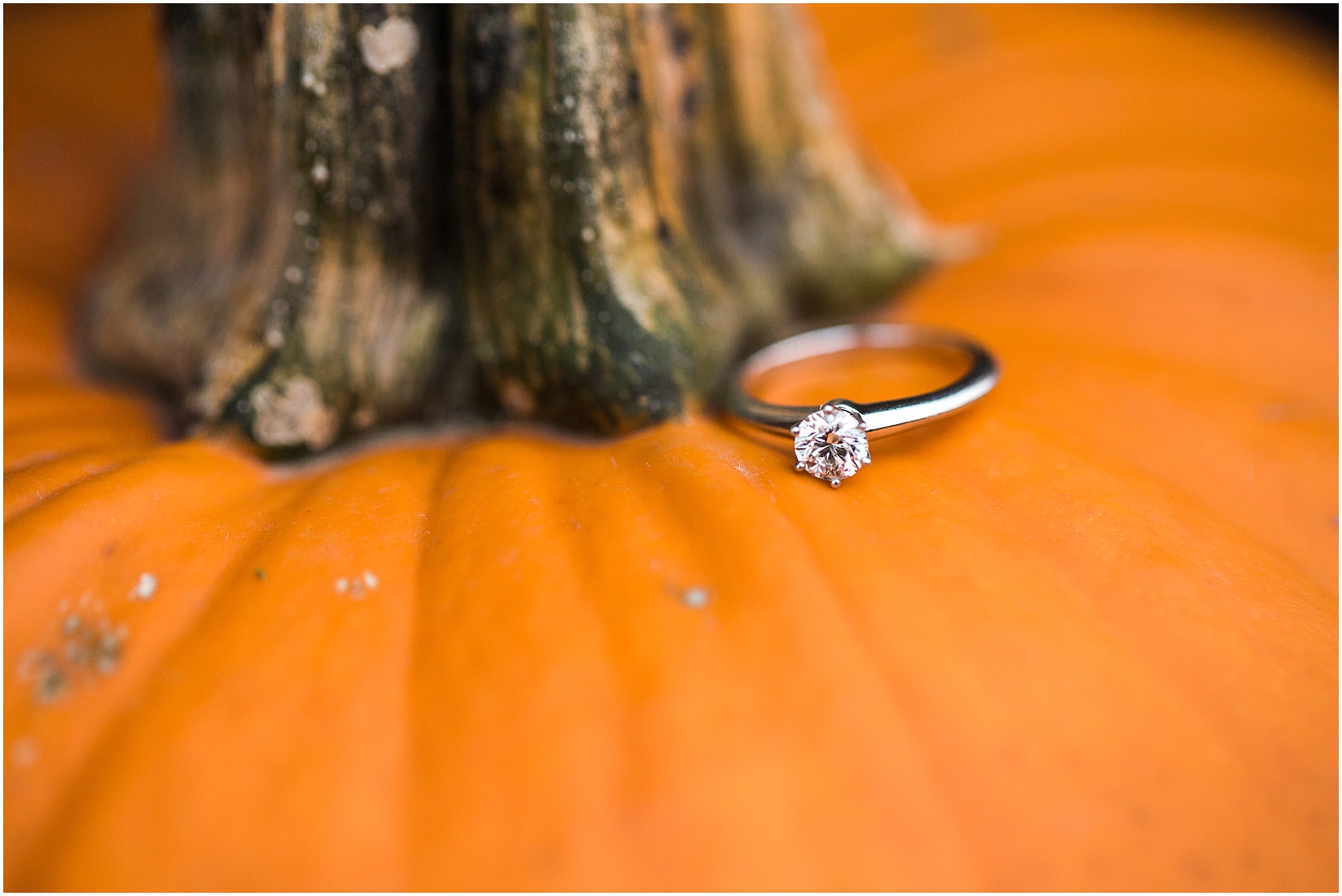 clevelandengagementphotographer4