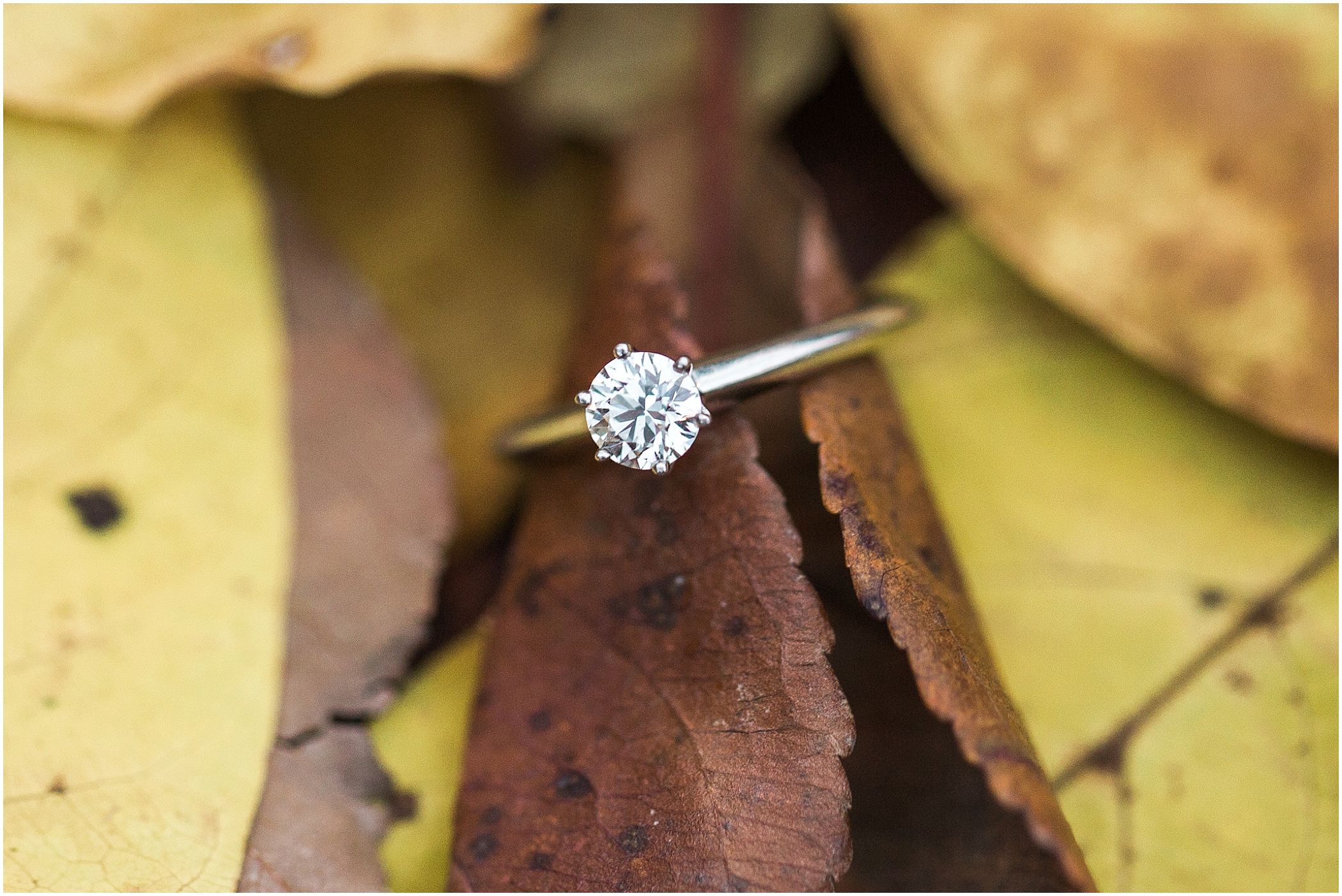 clevelandengagementphotographer40