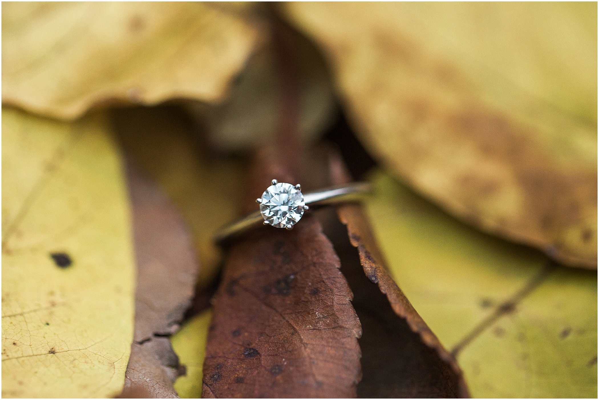 clevelandengagementphotographer7